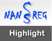 Nanoreg