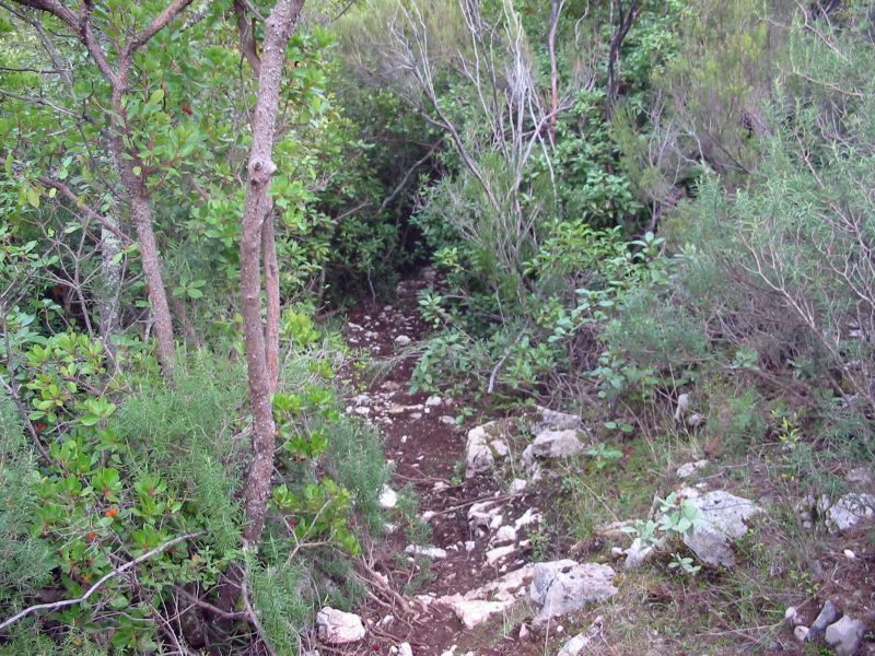 Vale Fojo 2; Descidas; kayak; zezere;Tejo; Nabão; Mondego;canoa; aventura; esquimotagem; caiaque; passeios; pedestres; caminhadas; formação; Nabão; turismo; activo; radical; actividades; natureza Fojo2