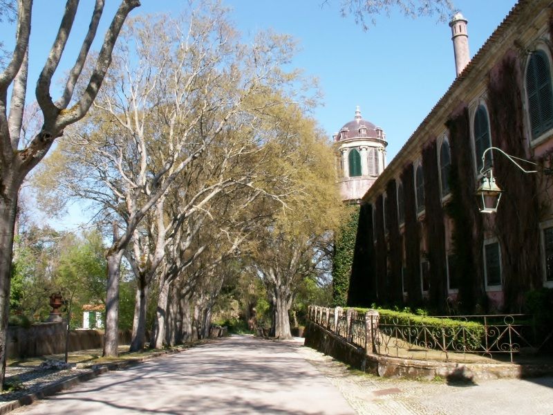 Cardiga1; Descidas; kayak; zezere;Tejo; Nabão; Mondego;canoa; aventura; esquimotagem; caiaque; passeios; pedestres; caminhadas; formação; Nabão; turismo; activo; radical; actividades Cardiga1